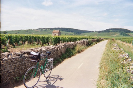 Discover the scenic trails and vineyards of Burgundy on your bicycle
